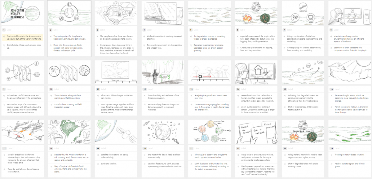 Sketched storyboard - Carbon Dynamics in Tropical Rainforests