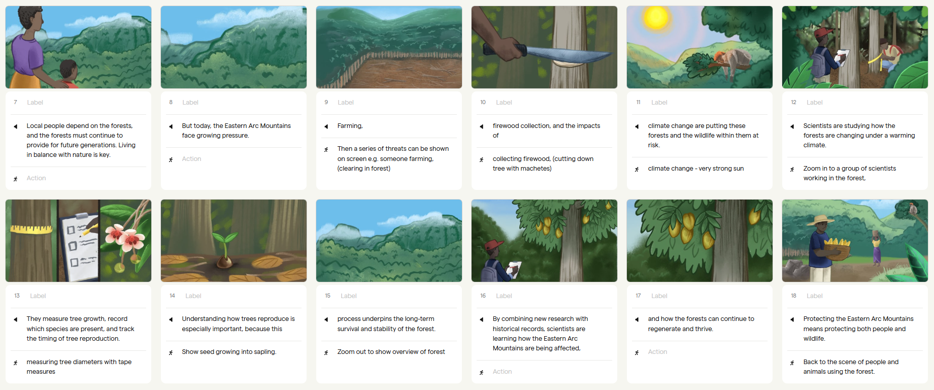 Illustrated storyboards - animation about biodiversity of The Eastern Arc Mountains