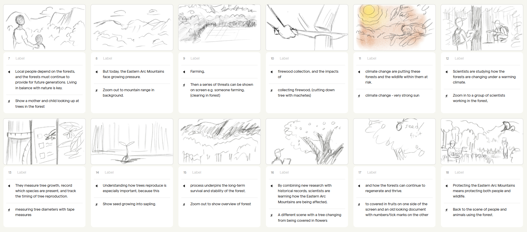 Sketched storyboards - animation about biodiversity of The Eastern Arc Mountains