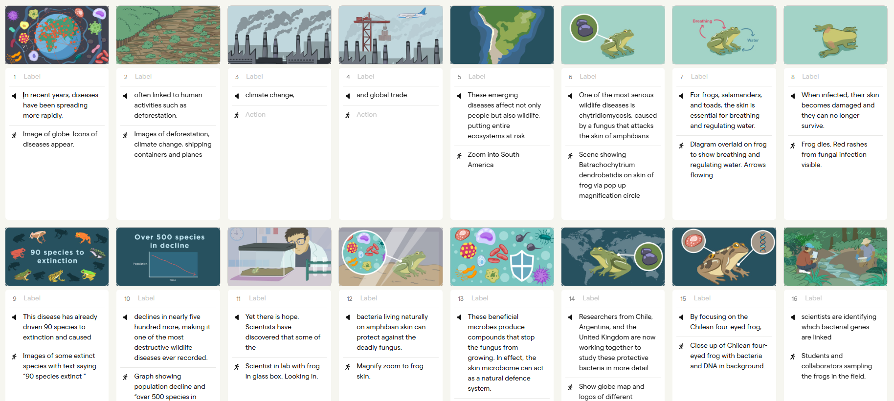 Illustrated storyboard