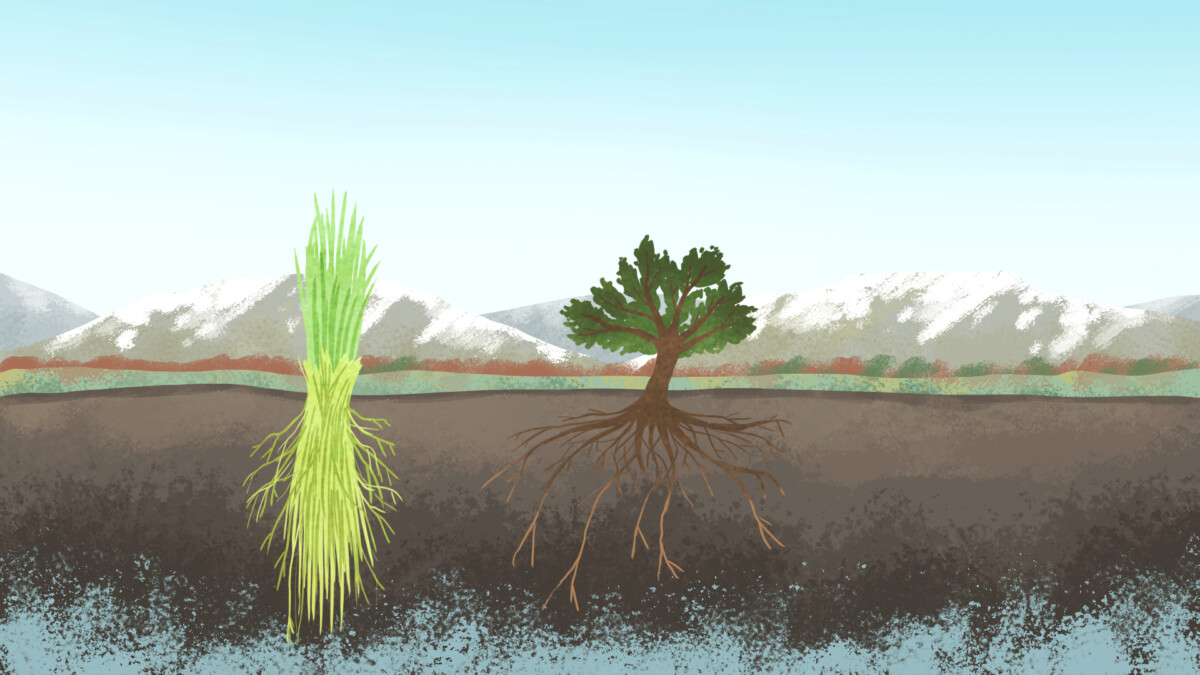 Style concept for animation drawn on iPad in Adobe Fresco.
