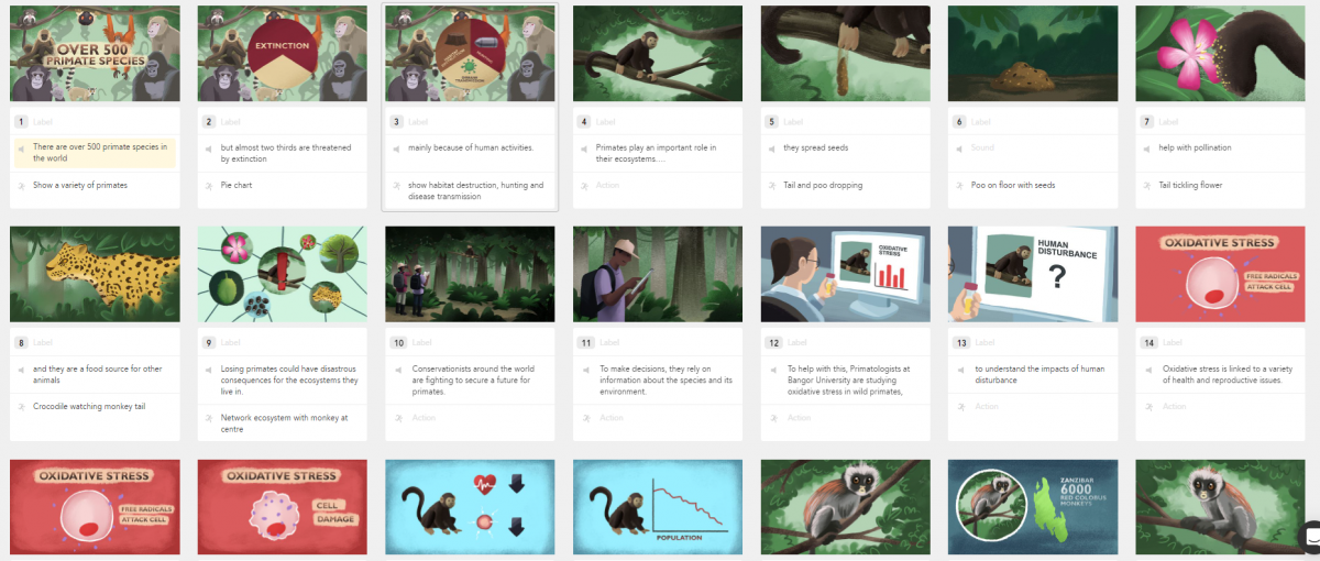 Illustrated storyboards Measuring oxidative stress to aid primate conservation.