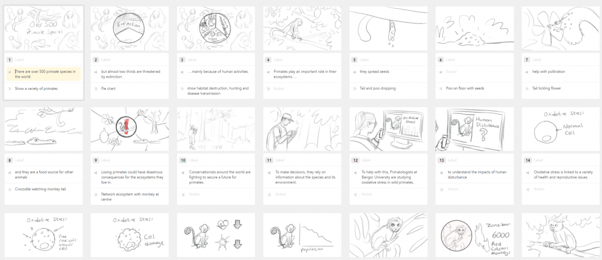 Sketched storyboards Measuring oxidative stress to aid primate conservation.