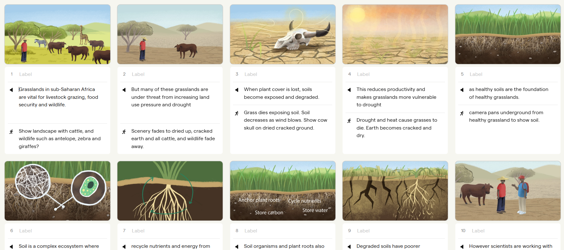 Illustrated storyboard