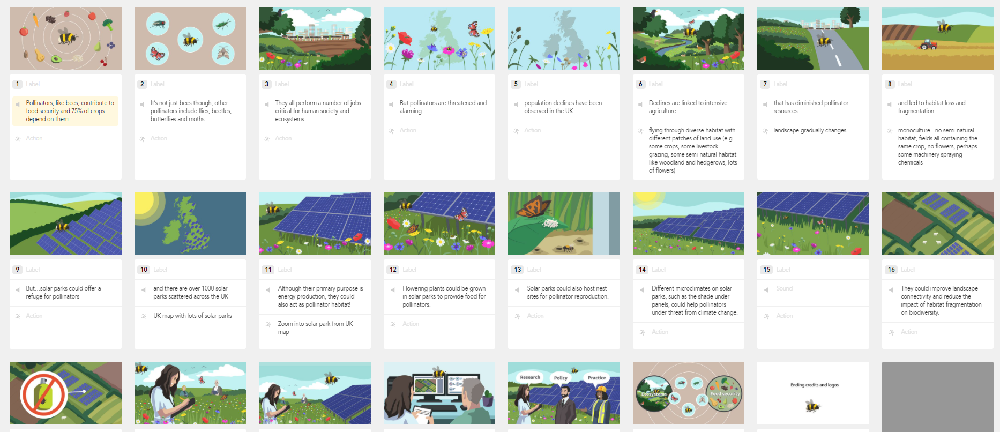 Storyboard - Solar parks for pollinators.