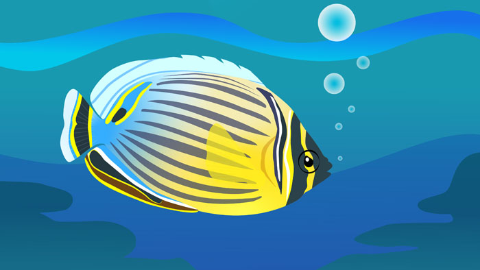 Style_Envision science animation The behavioural responses of reef fish to environmental change.