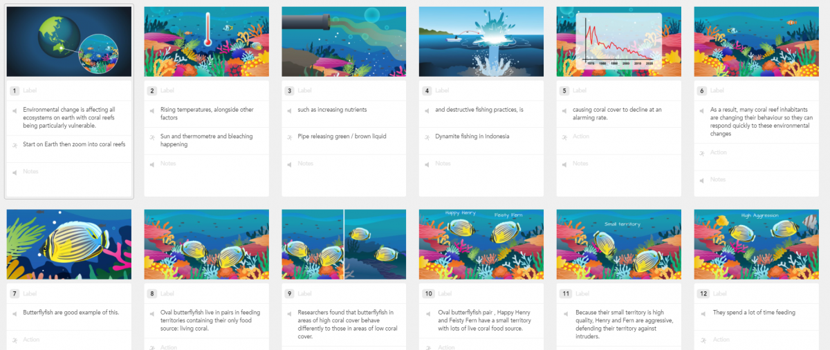Illustrated storyboards.