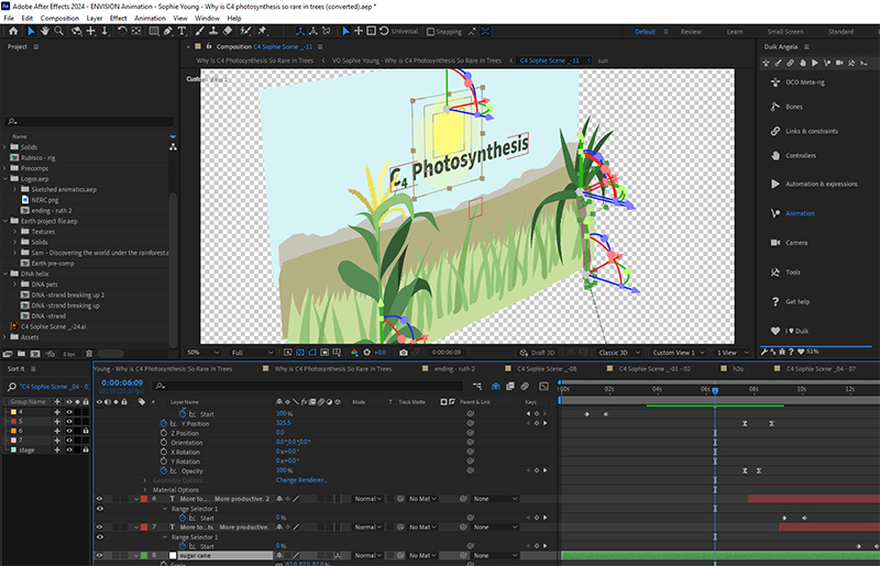 A screenshot of the animation software, After Effects, with the C4 crops and landscape set up in a 3D viewing space.