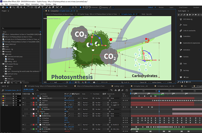 A screenshot of the animation software, After Effects, with the Rubisco molecule character and rig controls.