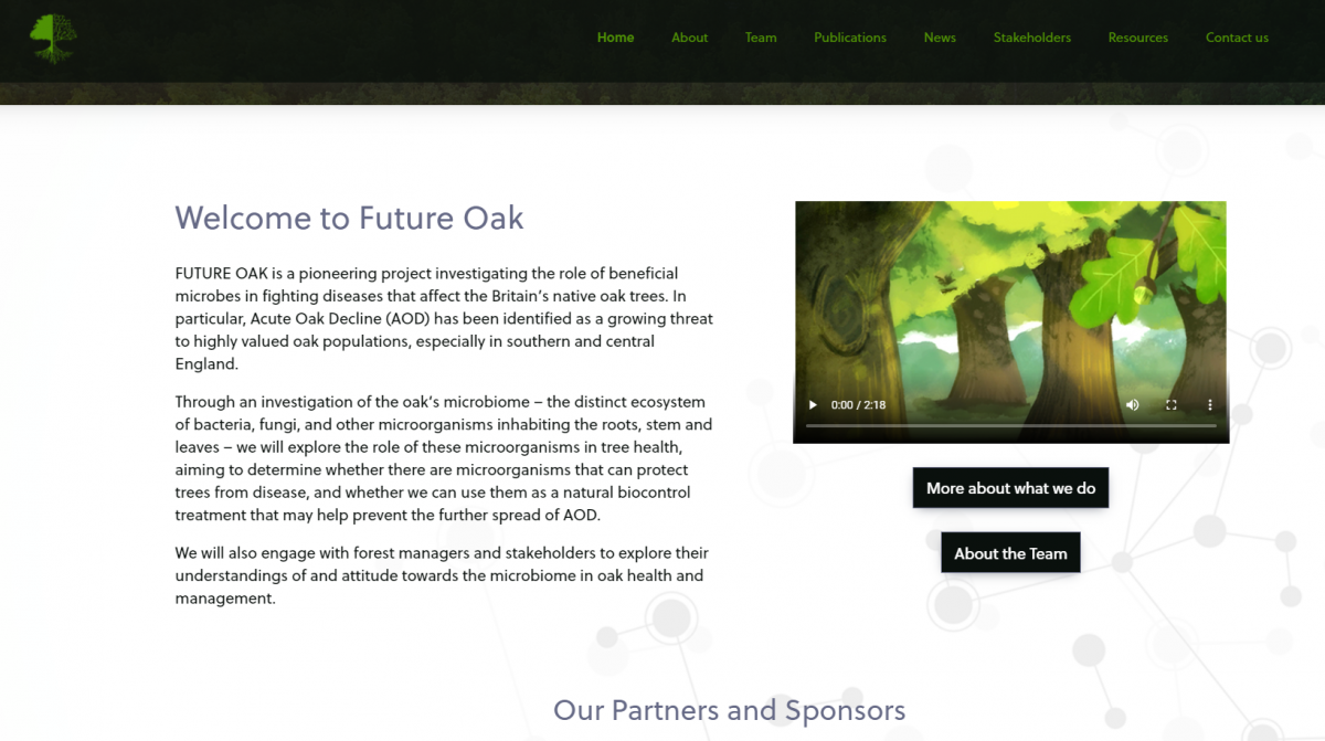 Animation on website.