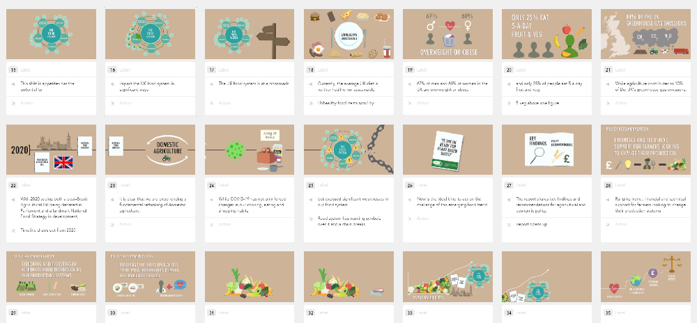 Storyboard illustrations.