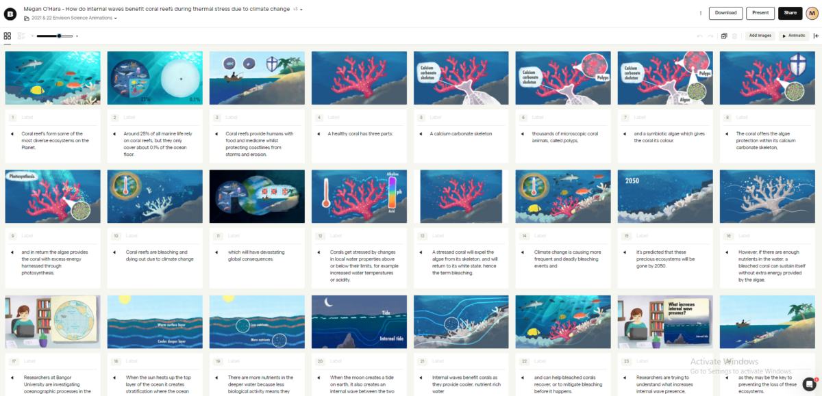 Illustrated storyboards - How do internal waves benefit coral reefs during thermal stress due to climate.
