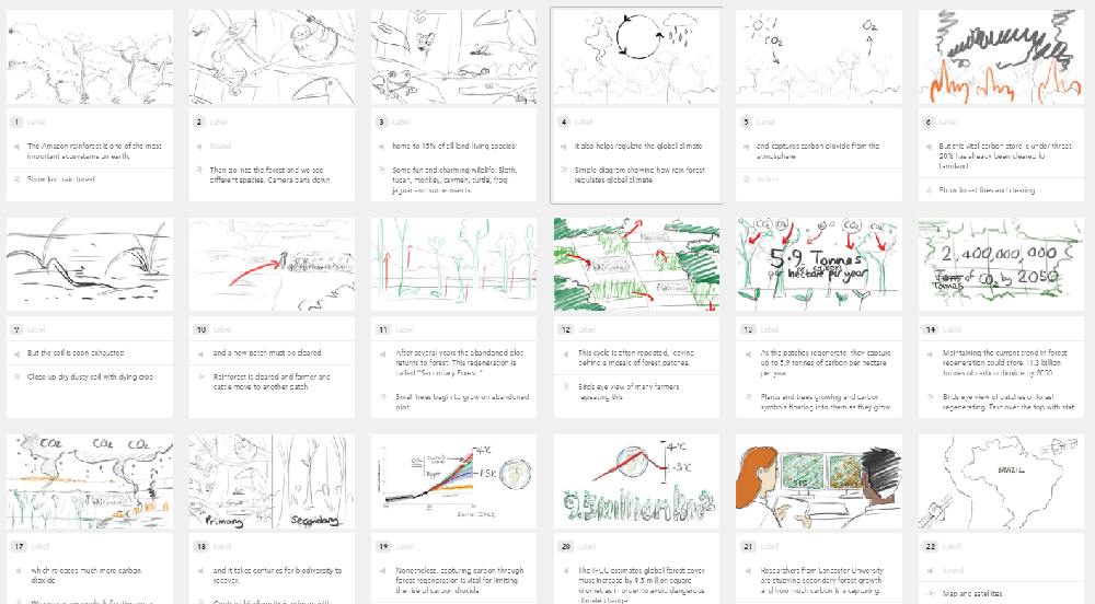 Sketched storyboards for rain forest animation.