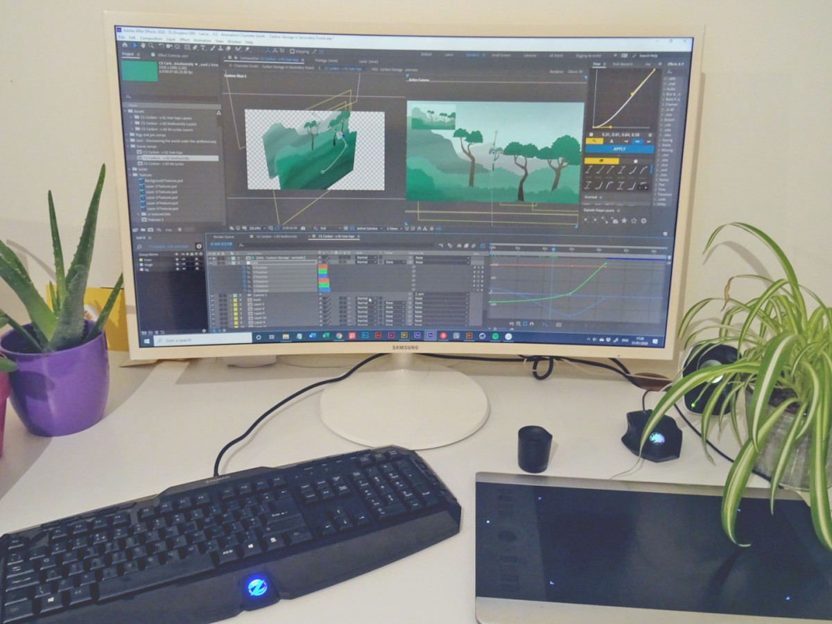 Rainforest animation in After Effects.