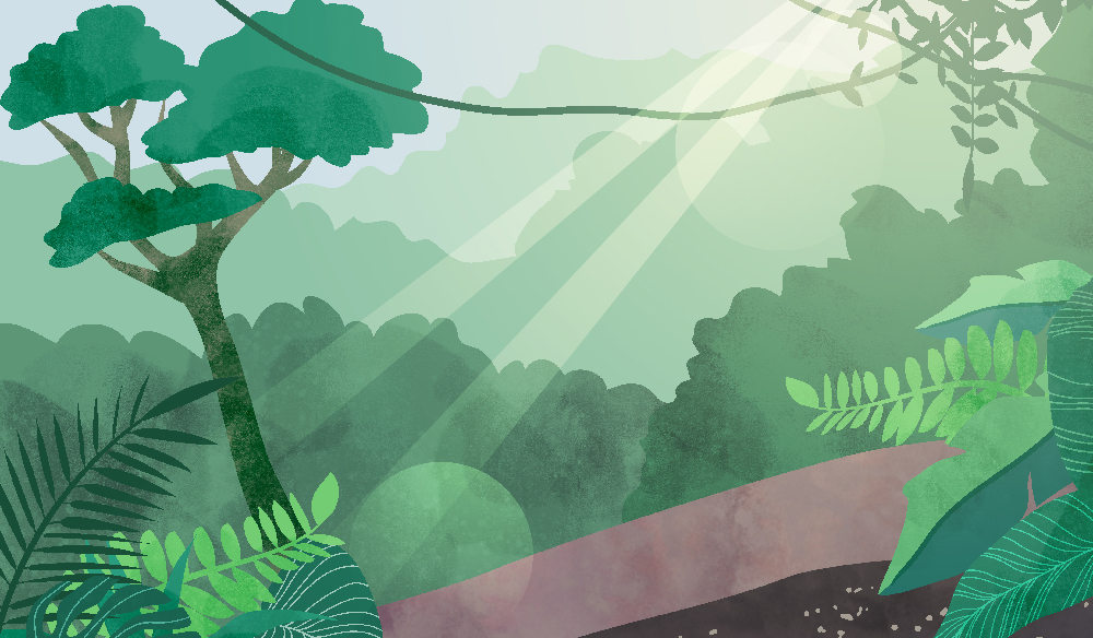 Style frame rainforest animation.
