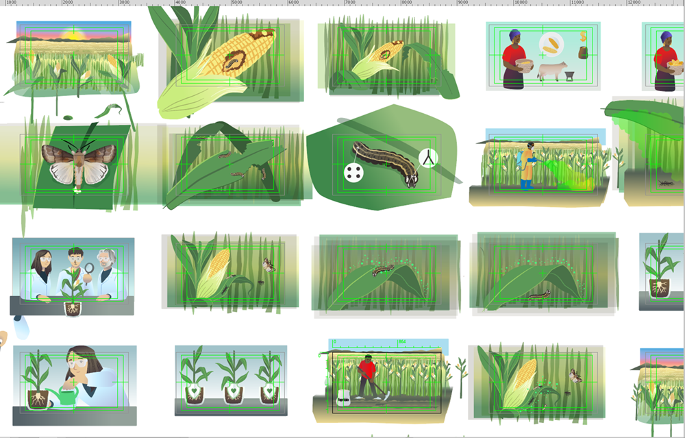 Illustrated storyboard frames.