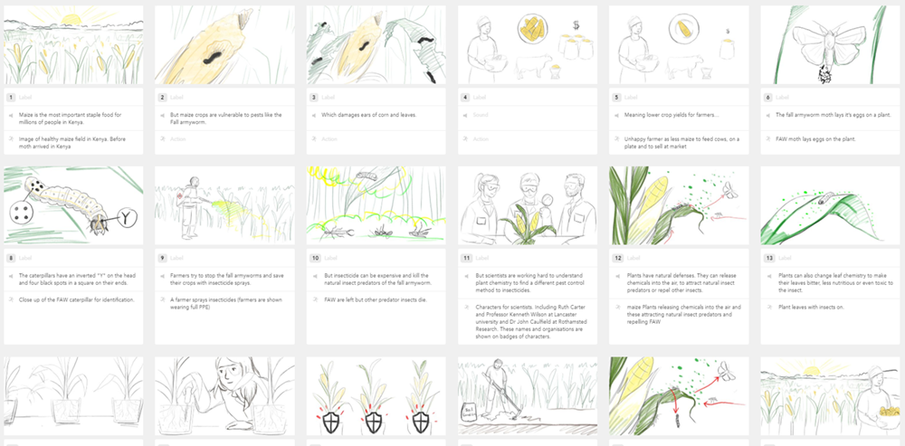 Sketched storyboard frames for the animation.