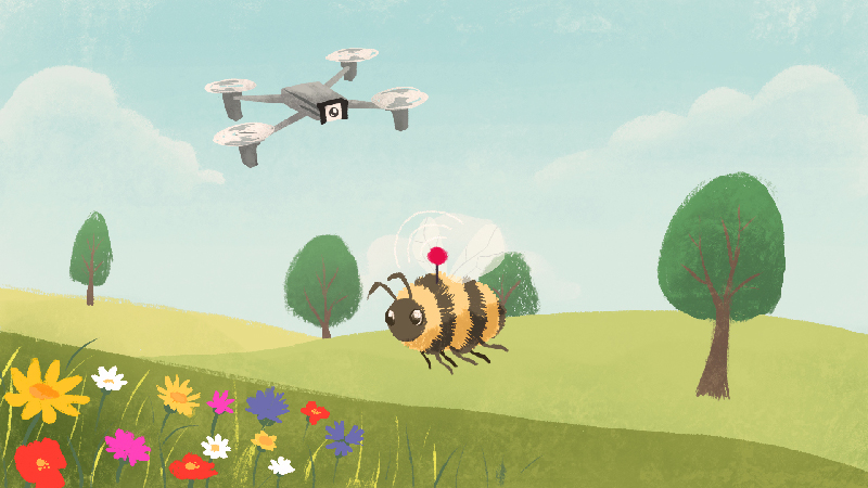 Style design for the animation. A bee being followed by a drone in the countryside. 
