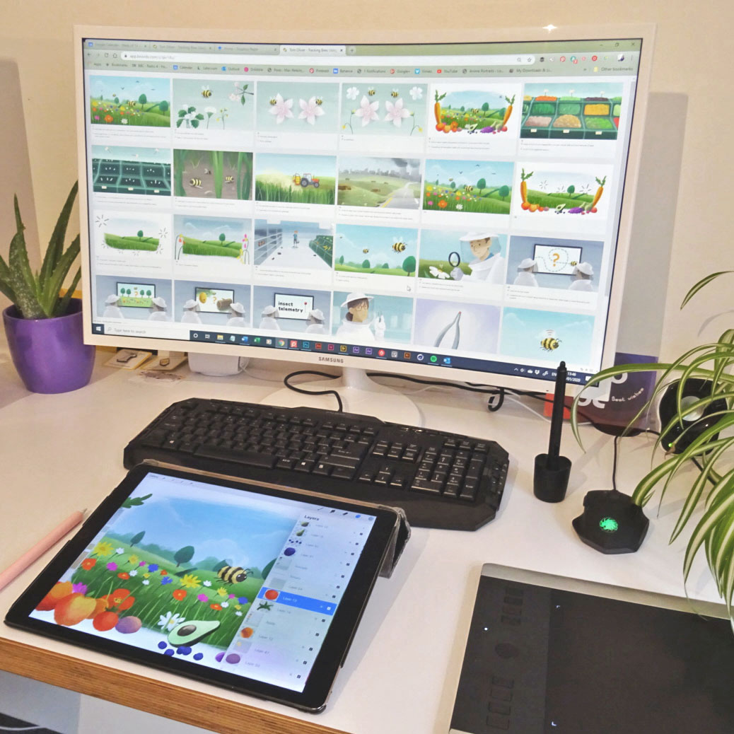 storyboard illustrations for environmental research bee animation.