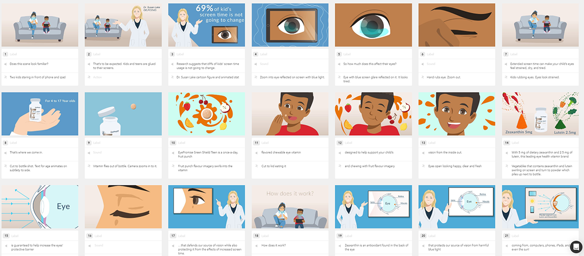 Illustrated Storyboards.