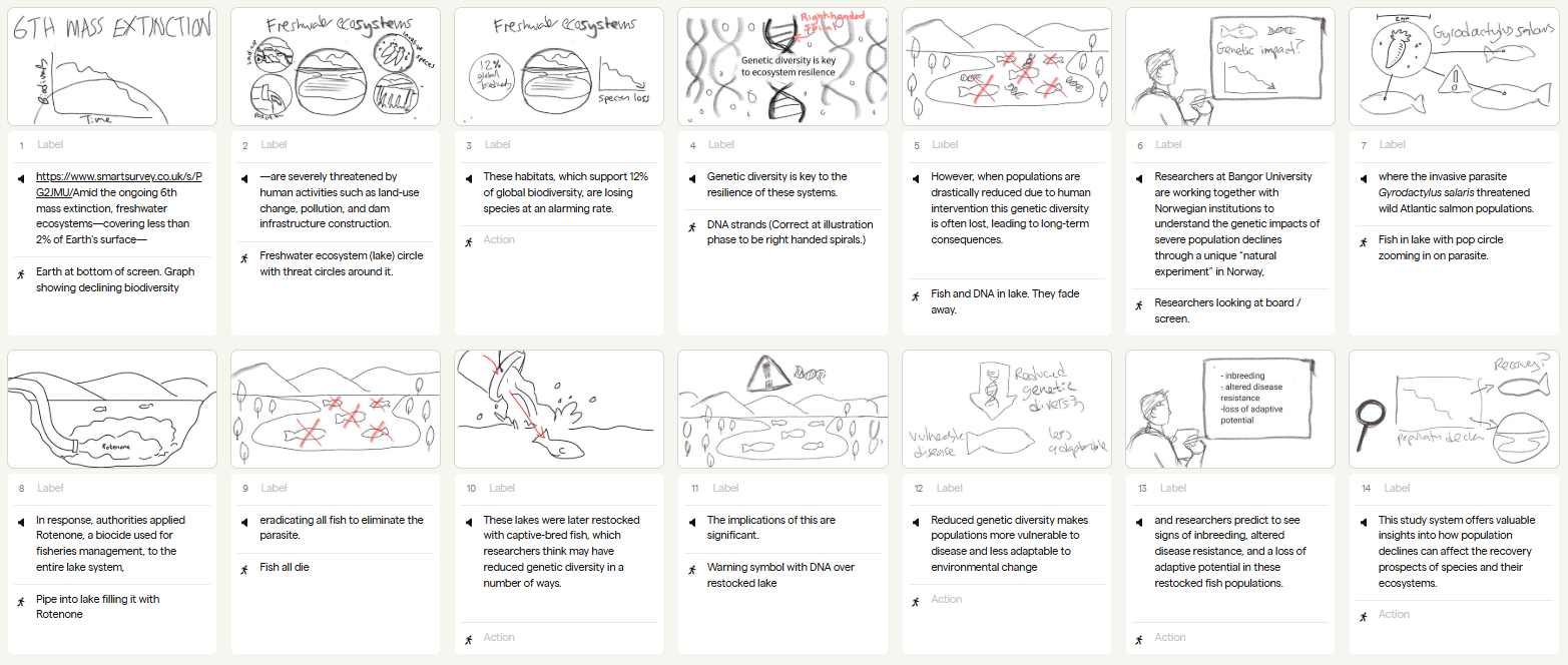Sketched storyboard