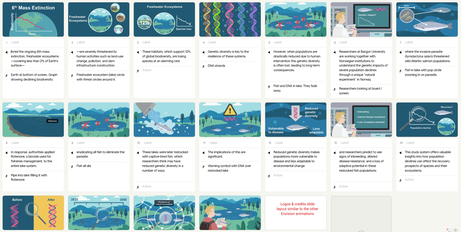 Illustrated storyboard